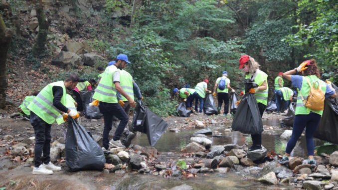 'Temizle, Yeşert, Koru' Seferberliği Bursa'da Devam Ediyor - Kolay Bilim Haber