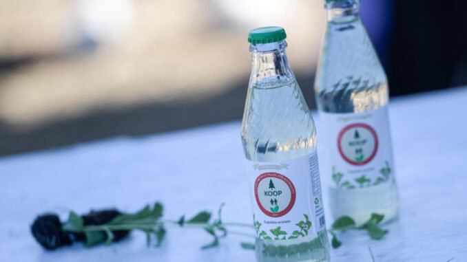 Türkiye’nin İlk Şeker İlavesiz Stevia Gazozu Üretildi - Kolay Bilim Haber
